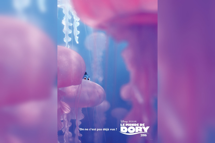 rencontre marin et dory