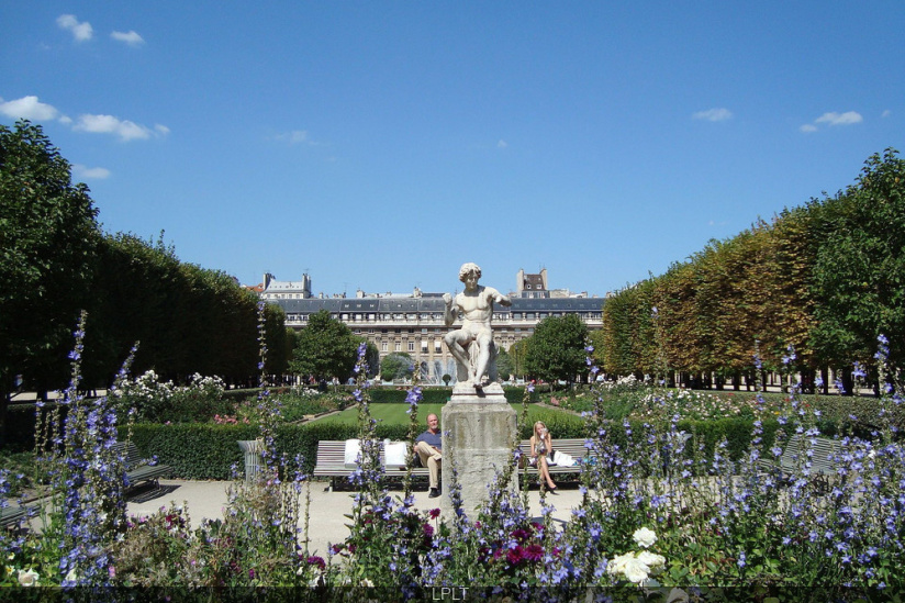 Réouverture des jardins du Palais-Royal à Paris