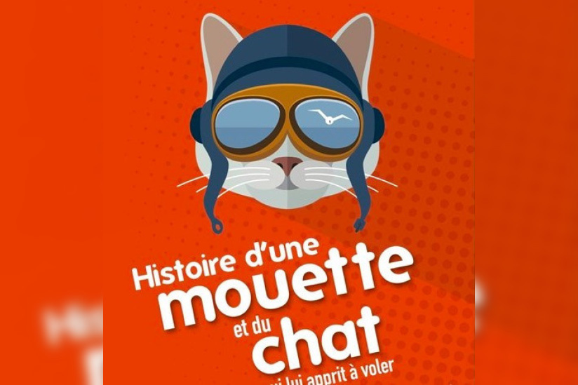 Histoire D'une Mouette Et Du Chat Questionnaire Corrigé