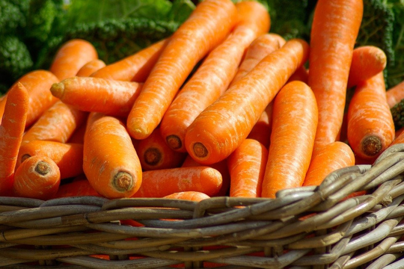 Fruits Et Legumes Grossistes Et Fournisseurs Du Marche De Rungis