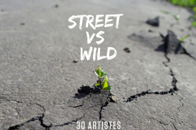 Street vs Wild : 30 street artistes investissent la galerie éphémère d'Urban Signature à Paris
