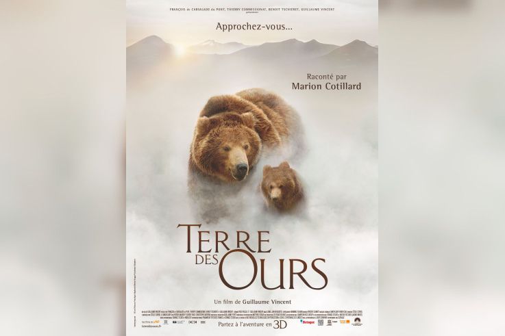 rencontre ours