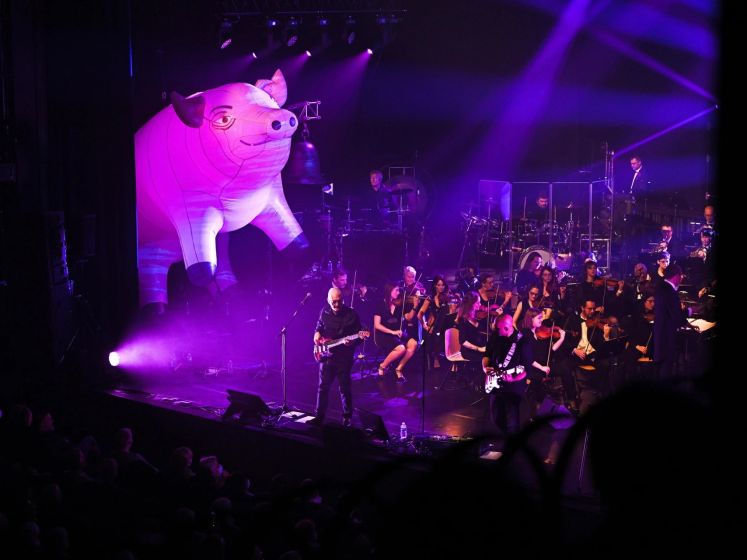 Concerts And Music In Paris But Also Throughout France, Outings, Agenda, Shows, Tips And Major Events