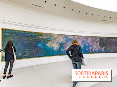 Les Nymphéas et artistes abstraits au Musée de l'Orangerie