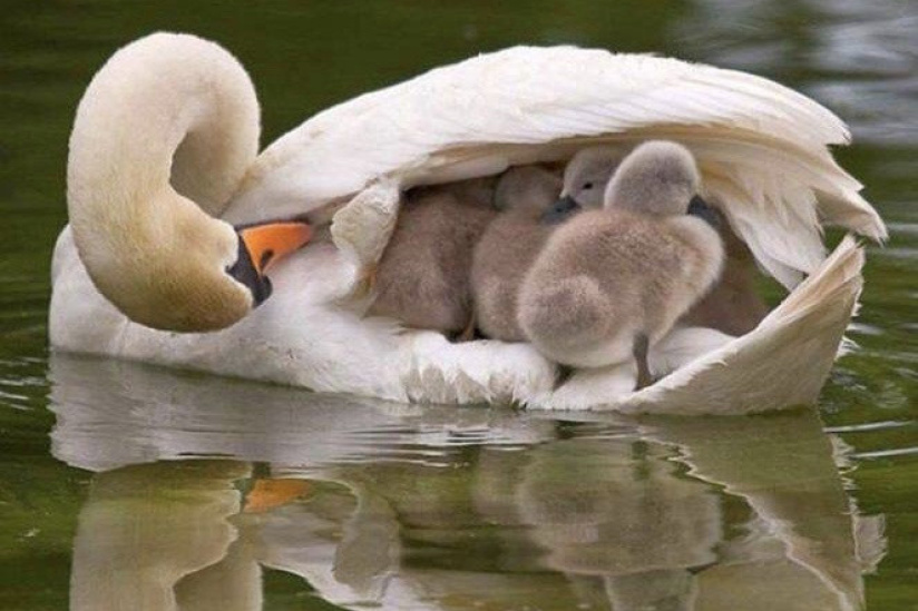 Résultat de recherche d'images pour "images froid sur paris"