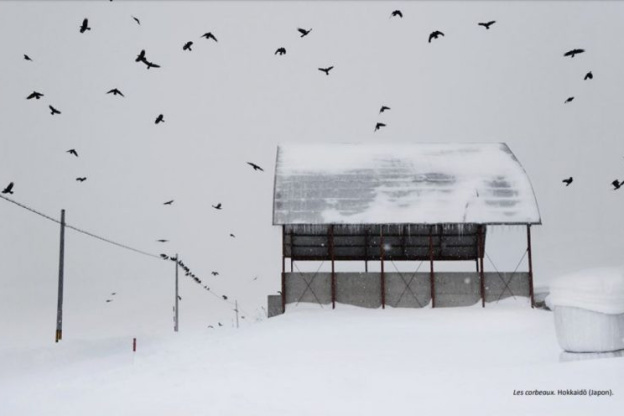 RÃ©sultat de recherche d'images pour "christophe jacrot"