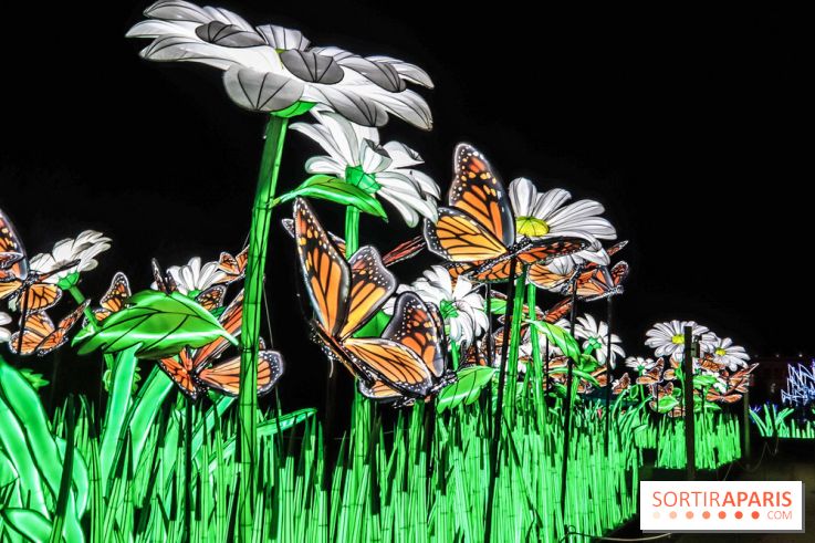 Esp ces en voie d illumination le festival des lumi res Esp ces en voie d illumination le festival des lumi res