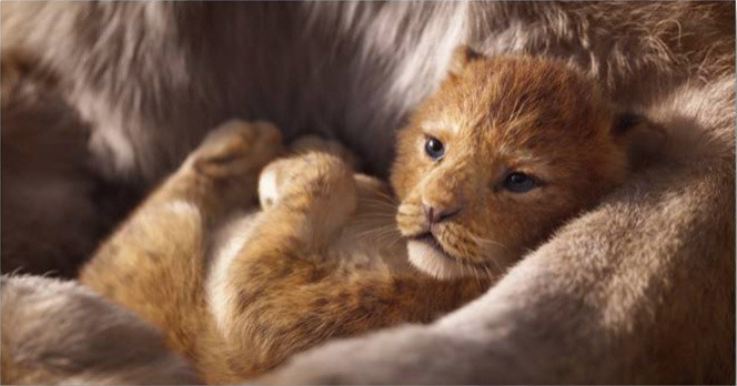 The Lion King By Jon Favreau Review And Trailer Sortiraparis Com