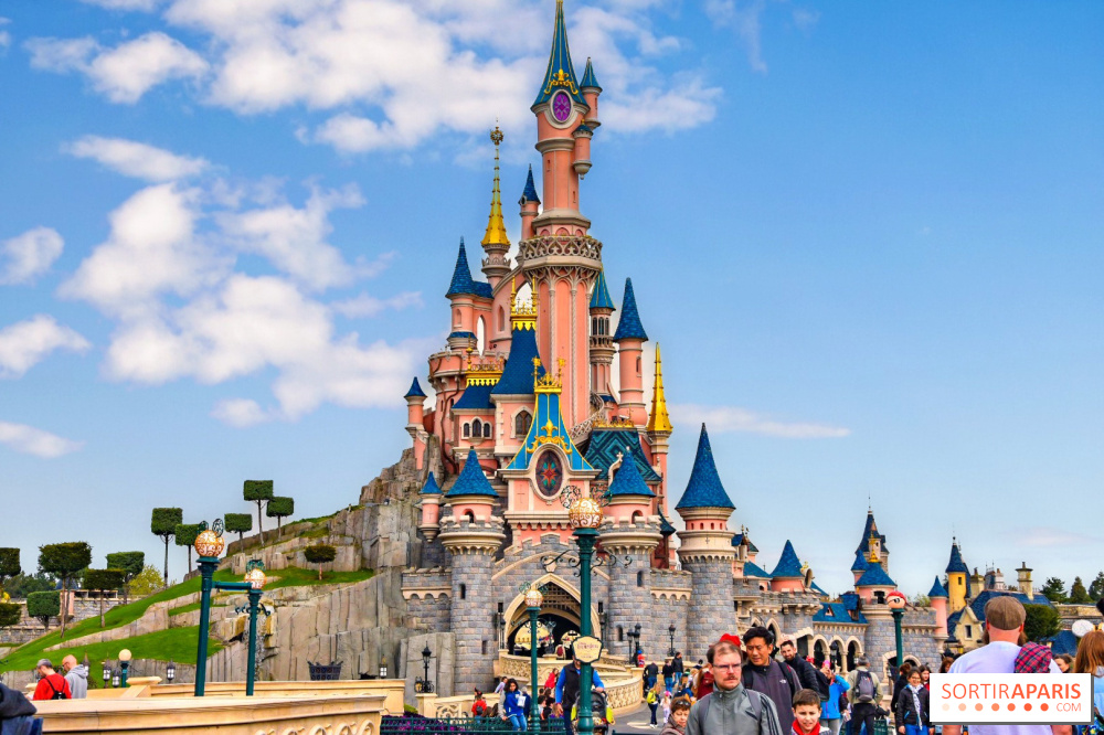 Disney land paris castle