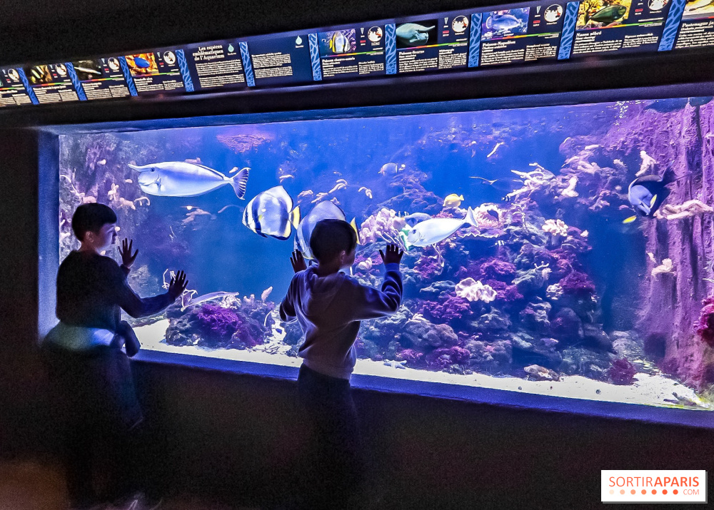 L'Aquarium Tropical fait peau neuve