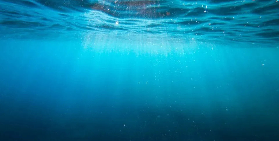 Meio Ambiente: 5.500 vírus desconhecidos descobertos nos oceanos