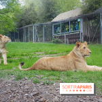 Zoo de Thoiry 2018 : les photos