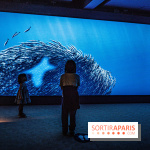 L'Aquarium Tropical de la Porte Dorée rénové