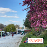 Cherry blossoms in Paris and Ile-de-France, where to find them