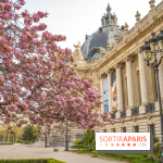 Visuel Paris arbres en fleurs, jardins, parc Petit Palais