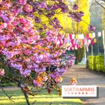 Hanami at Parc de Sceaux 2022, the cherry blossom festival