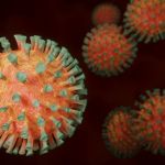 Coronavirus : les anticorps présents jusqu'à trois mois après contamination selon deux études
