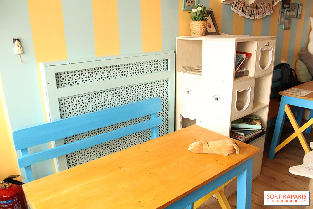New Cat Bar The Chat Mallows Cafe Sortiraparis Com