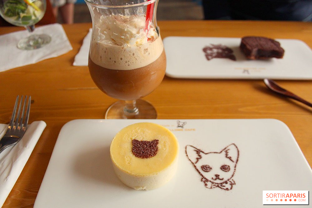 New Cat Bar The Chat Mallows Cafe Sortiraparis Com