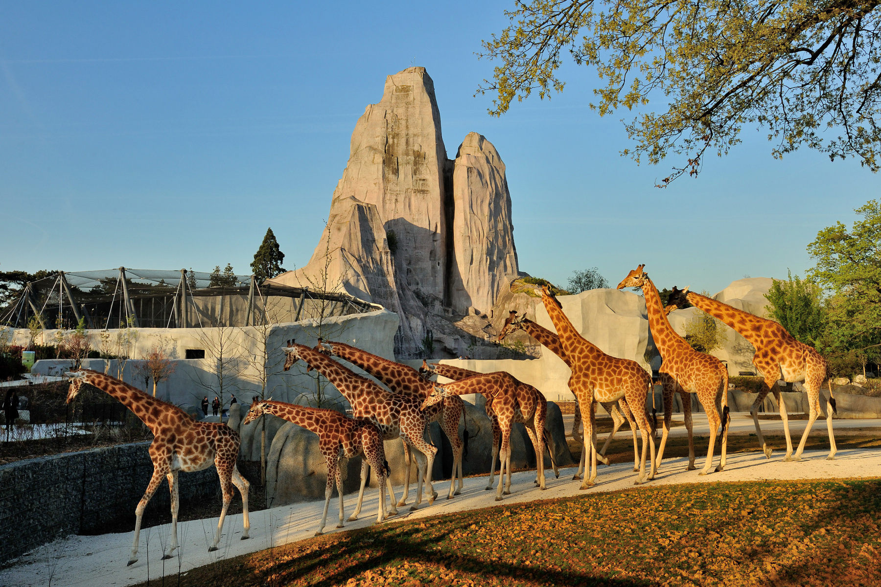 parc zoologique de paris