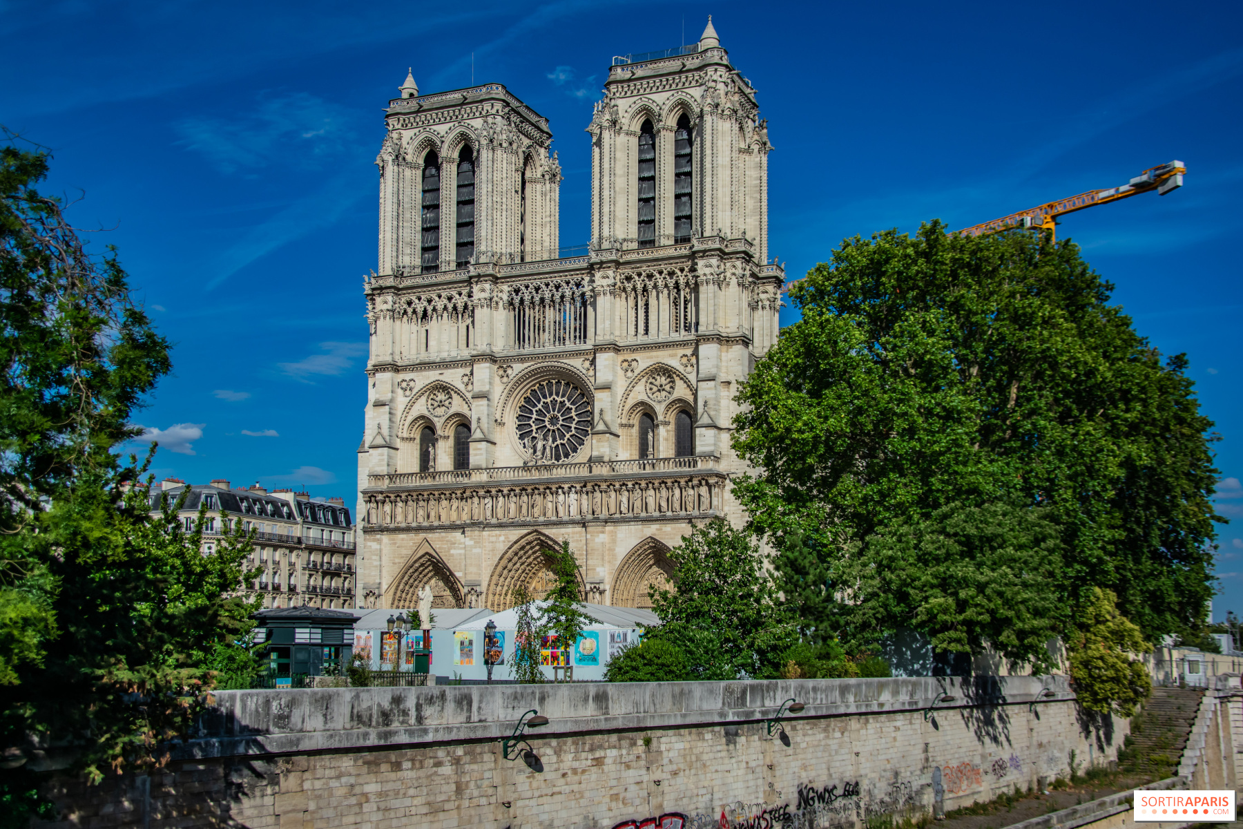 cathédrale notre dame de paris