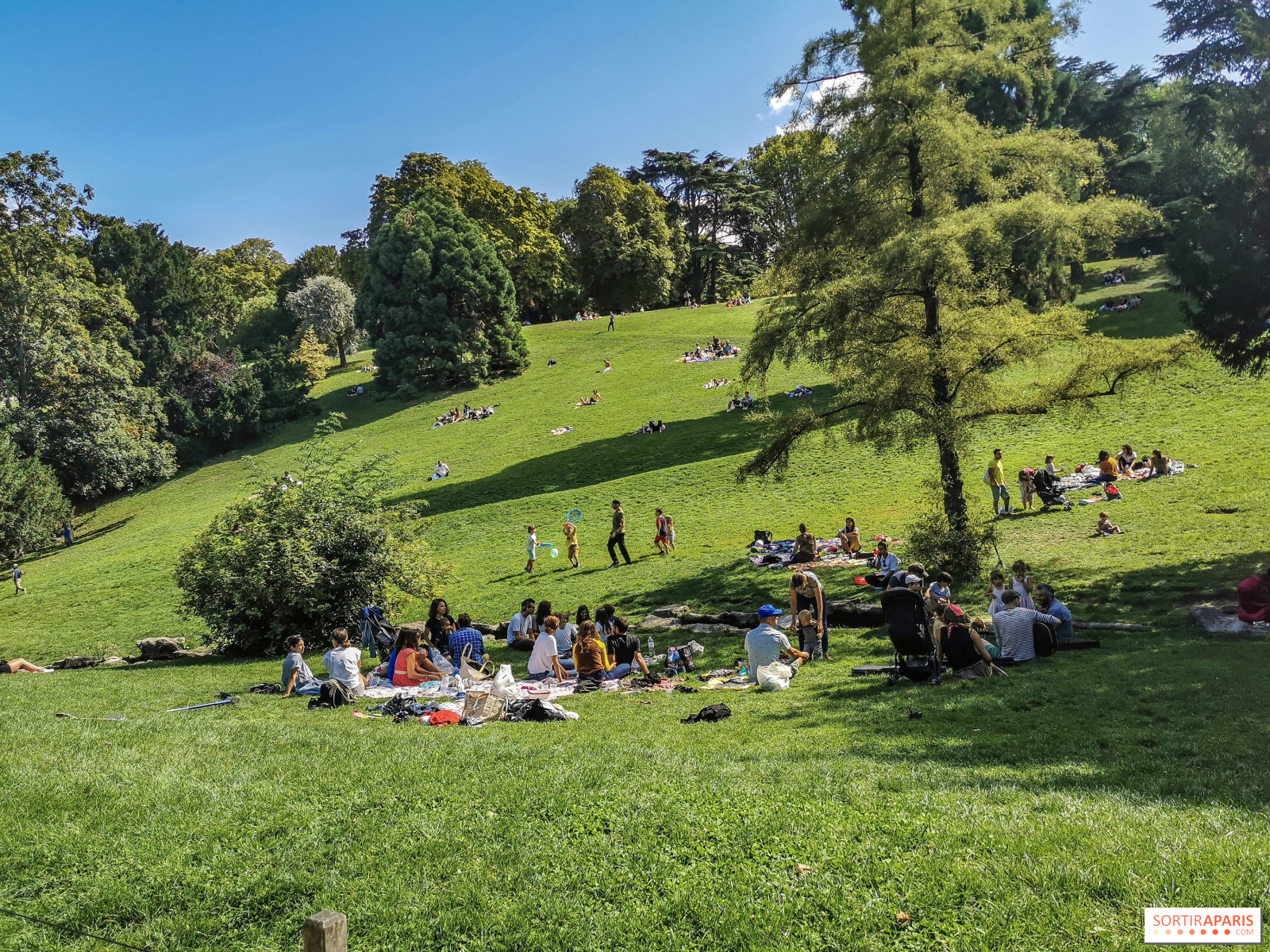 Picnicking In Paris This Summer 2020 The Best Sposts Sortiraparis Com