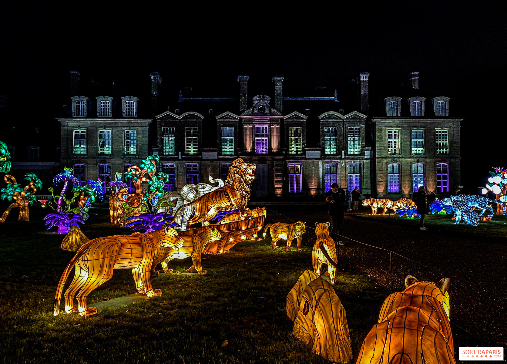 Album Photos Photos Thoiry Lumières Sauvages 20202021