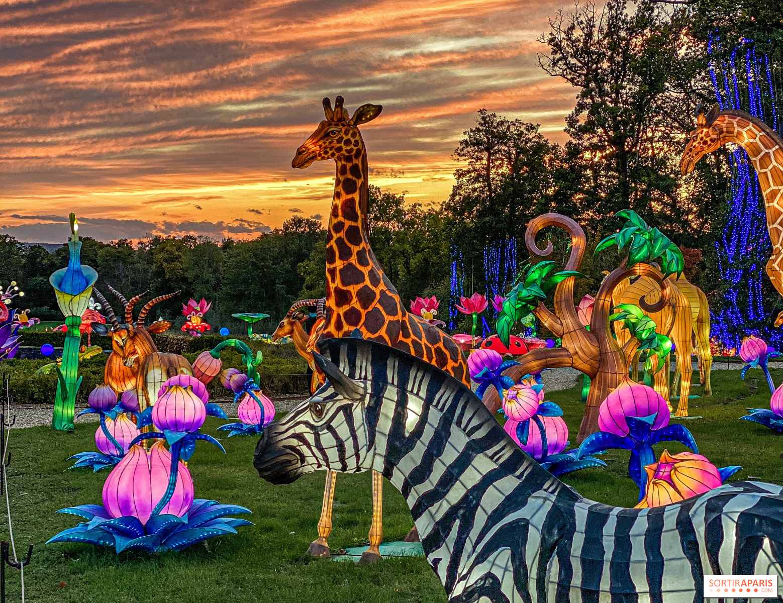 Thoiry Lumières Sauvages 20202021, le festival de lanternes chinoises