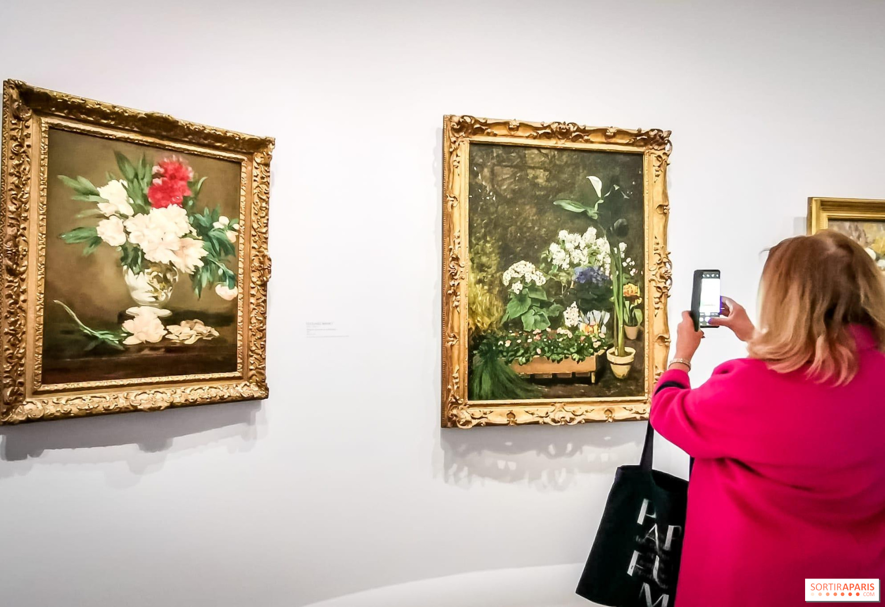 Musée national de l'Orangerie - Paris 1