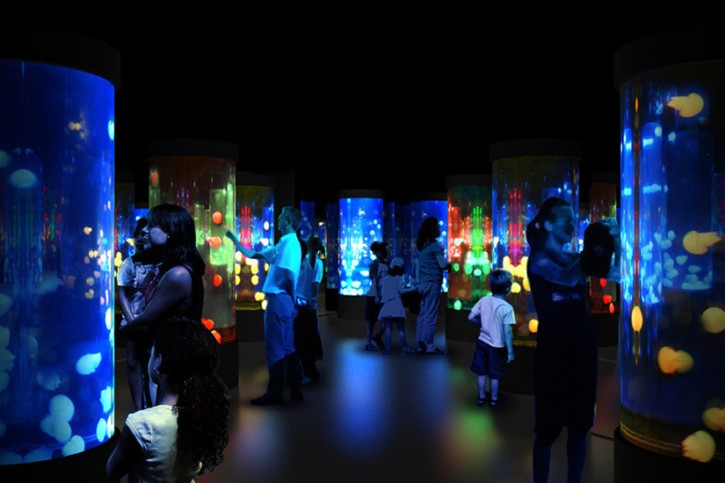 Disco M&eacute;duses &agrave; l'Aquarium Sea Life